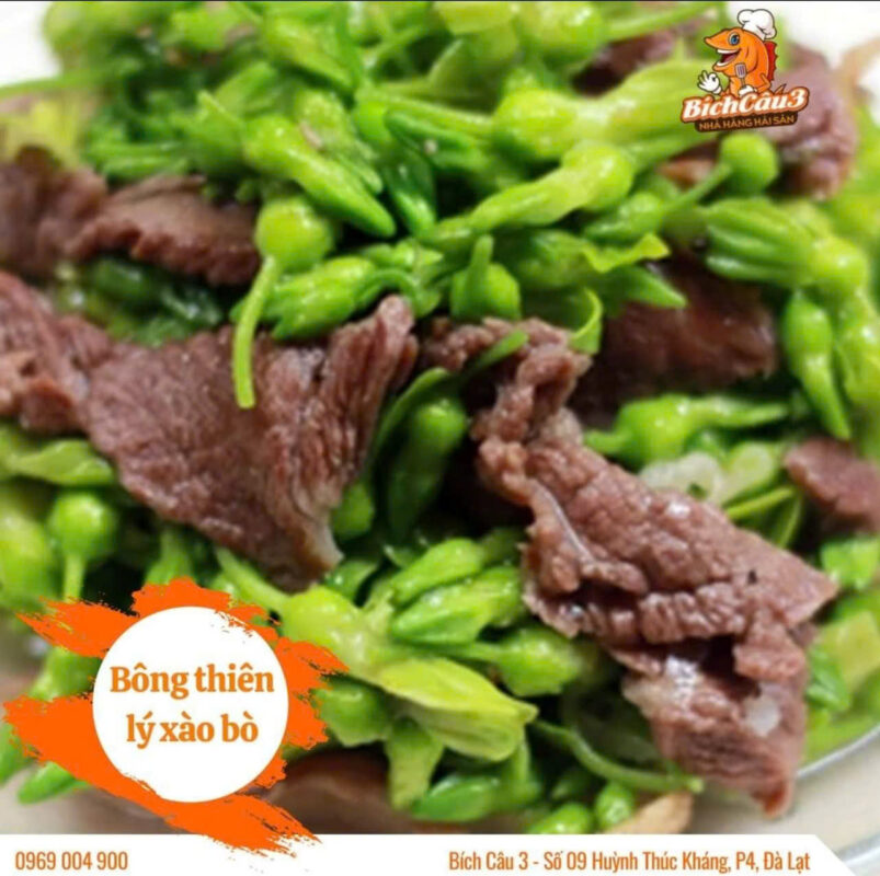 Thịt bò xào hoa thiên lý mềm thơm, hấp dẫn cho bữa cơm trưa 3 cach-lam-bong-thie-ly-xao-bo